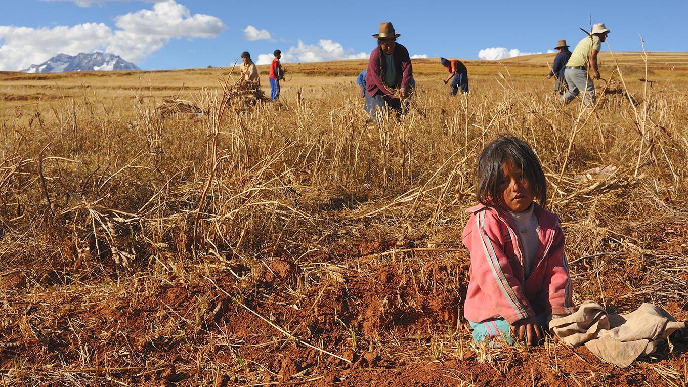 nierenberg1_FrédéricSoltanCorbisviaGettyImages_peruviangirlinwheatfield