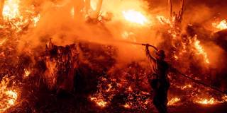 turner64_JOSH EDELSONAFP via Getty Images_firefightercalifornia