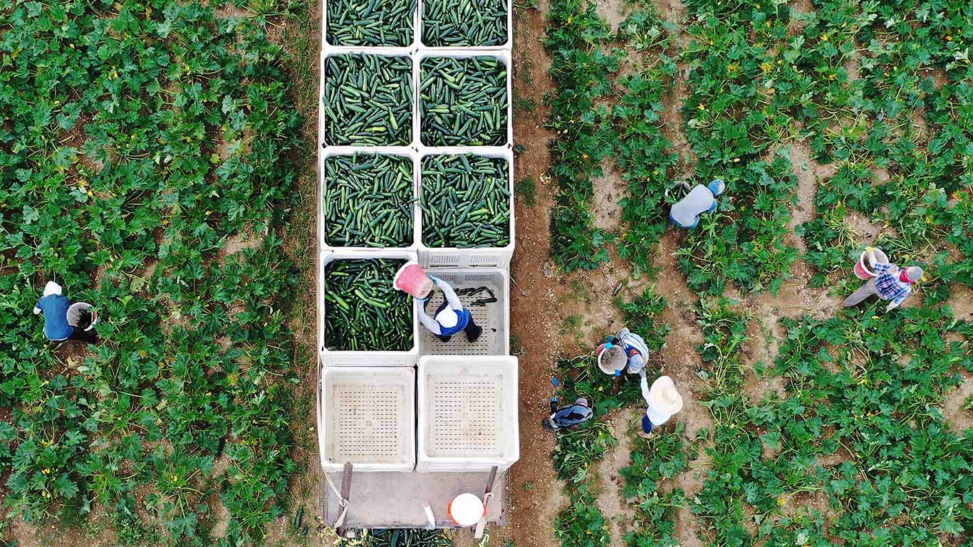 dixsondecleve4_Joe RaedleGetty Images_agriculture