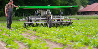 torero3_Philipp Schulzepicture alliance via Getty Images_robotics farming