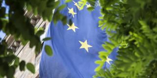 EU flag behind a tree.