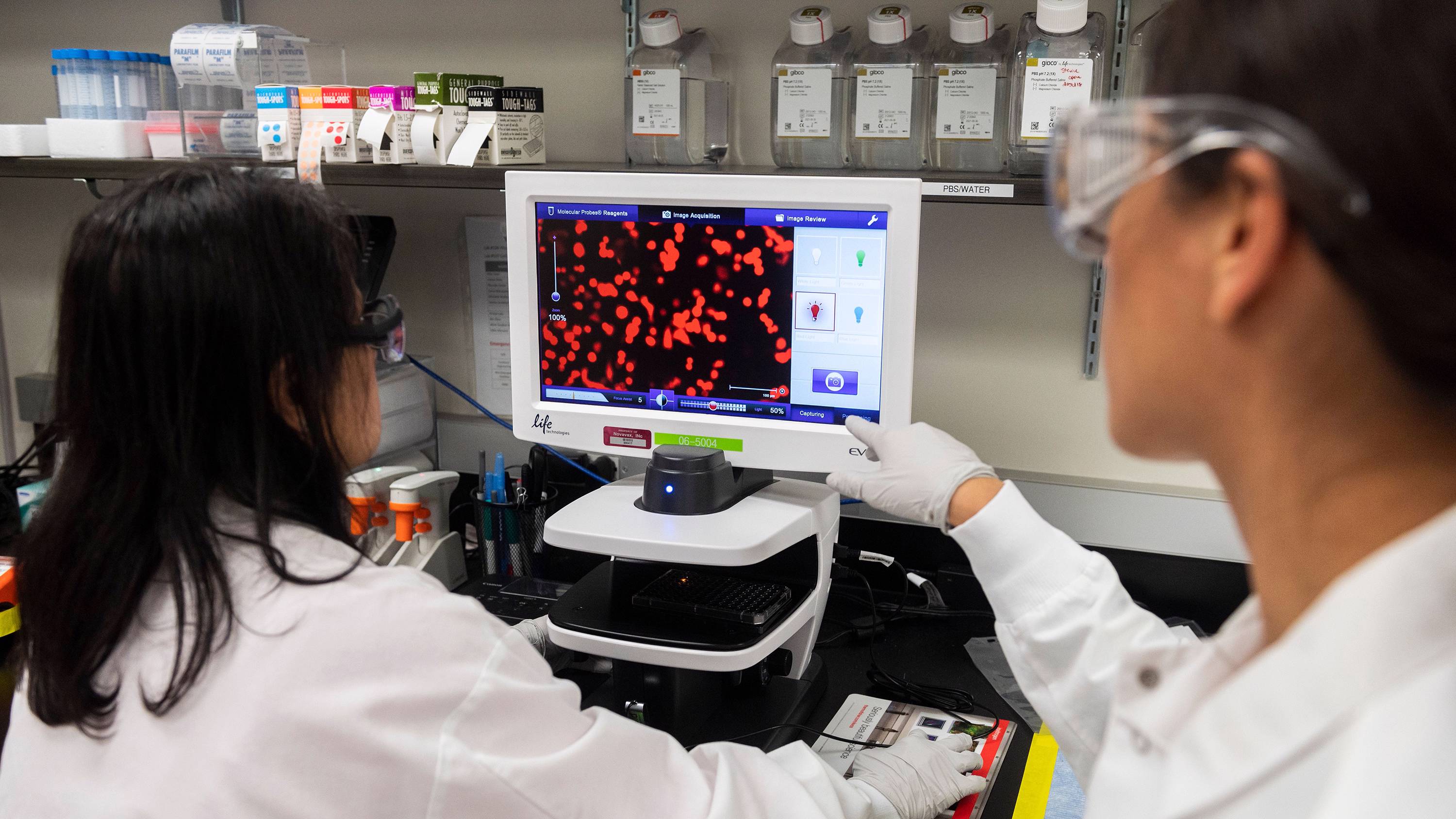 mzhu4_ANDREW CABALLERO-REYNOLDSAFP via Getty Images_coronavirusvaccinedoctorscientist