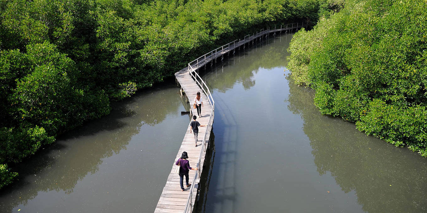 The Global Water Cycle Is Critical Infrastructure - News Directory 3