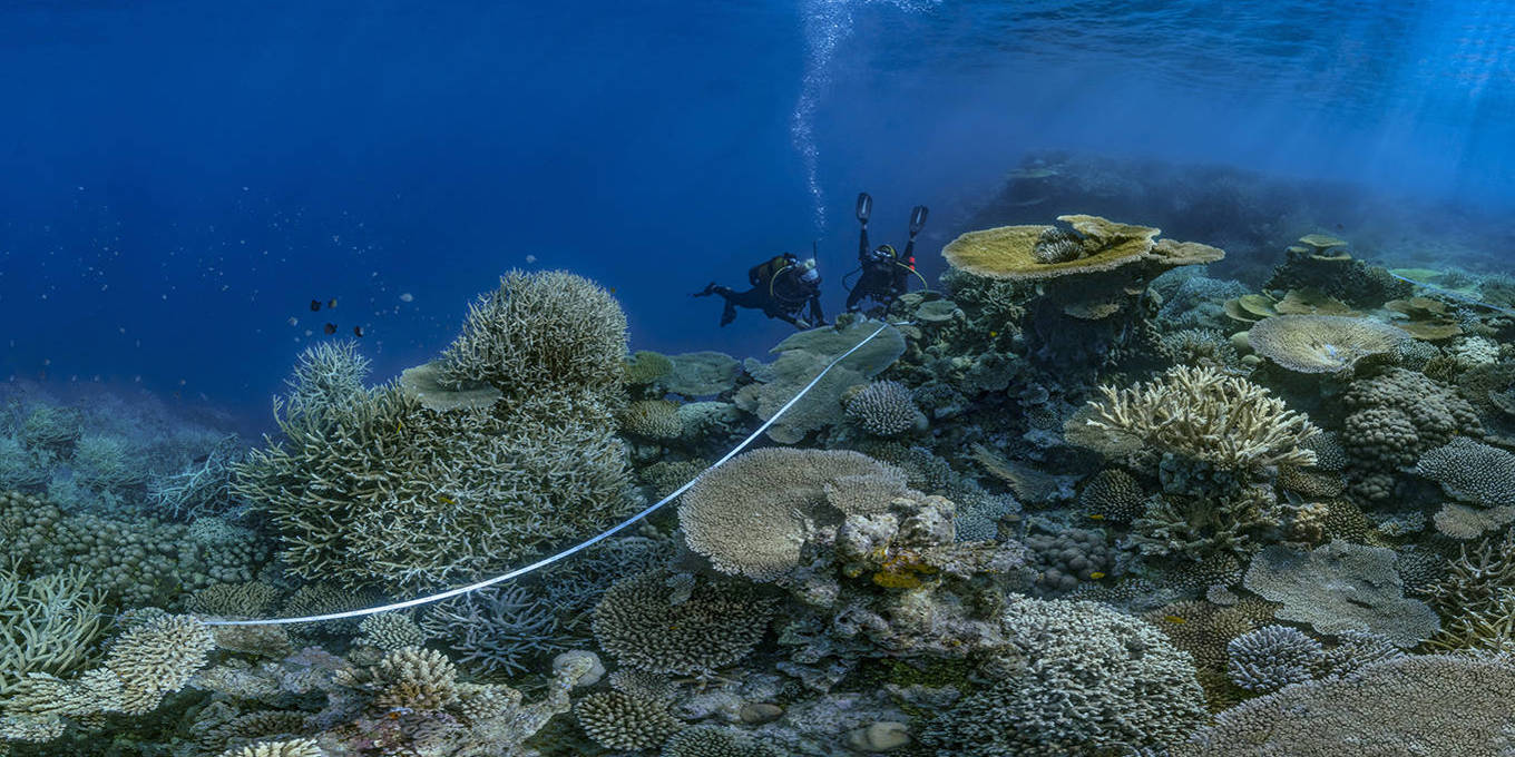 Why the High Seas Treaty Matters for Everyone