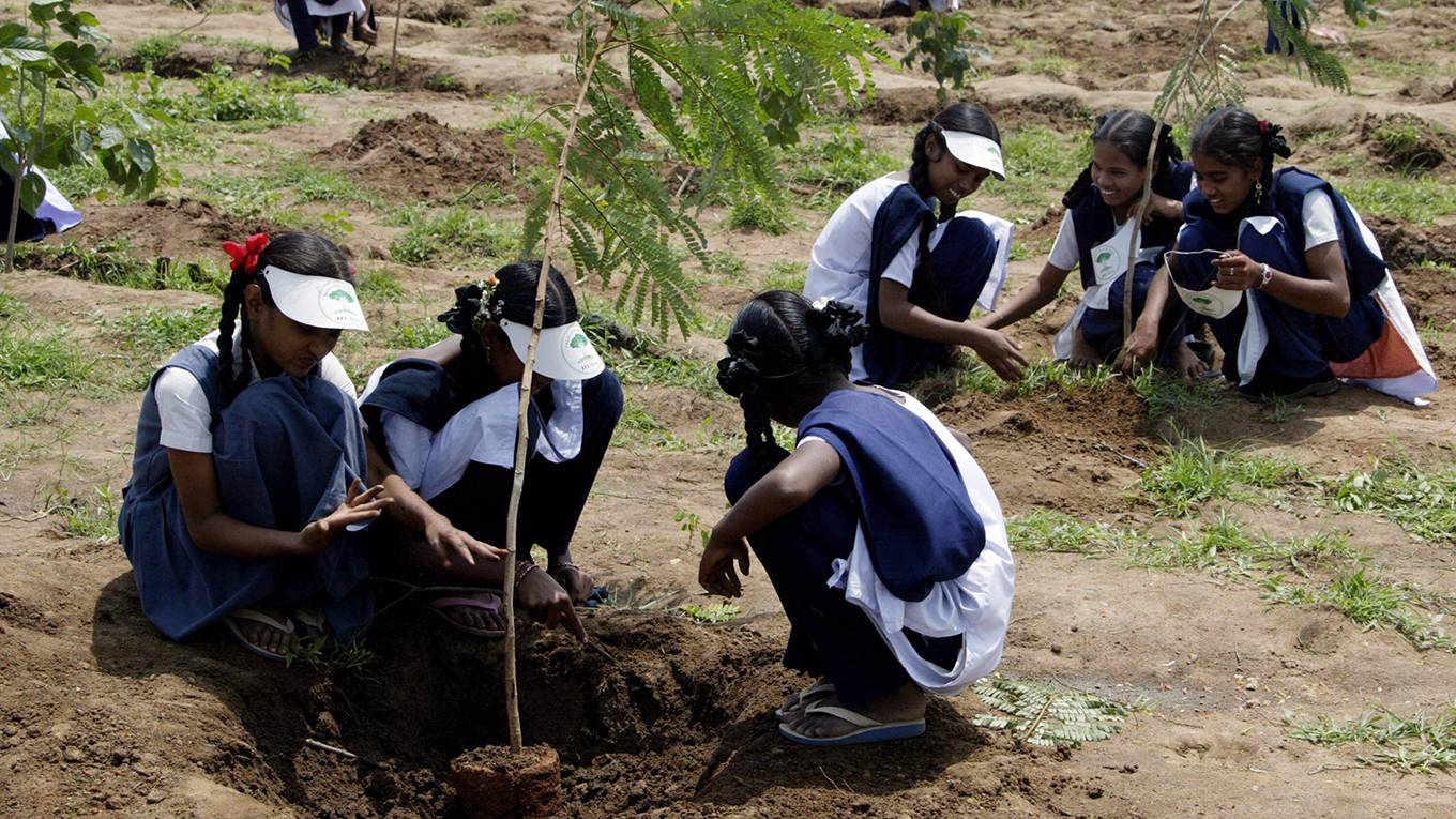 jewell1_NOAH SEELAMAFP via Getty Images_indianchildrenplantingtrees
