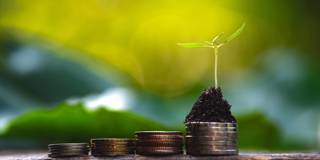 badre11_NatnanSrisuwanGetty Images_sustainabilityfinancecoinsplant