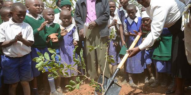 Climate change kenya community tree planting