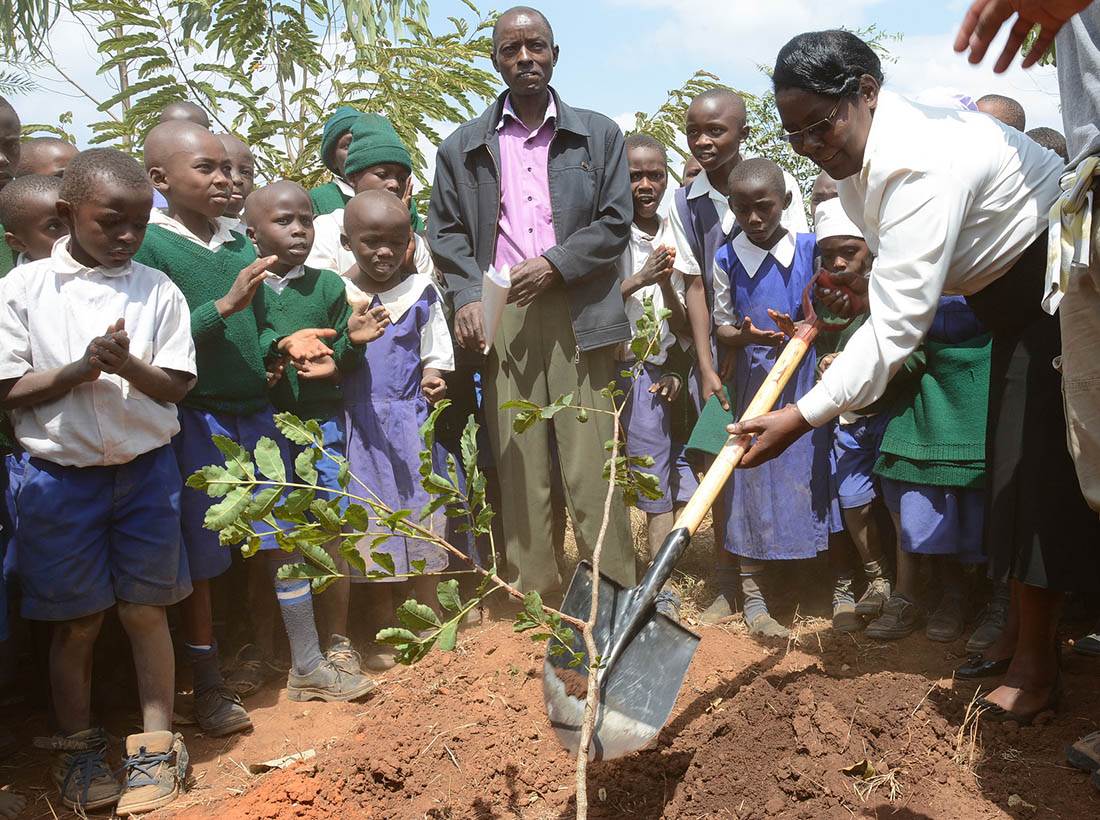 Climate change kenya community tree planting