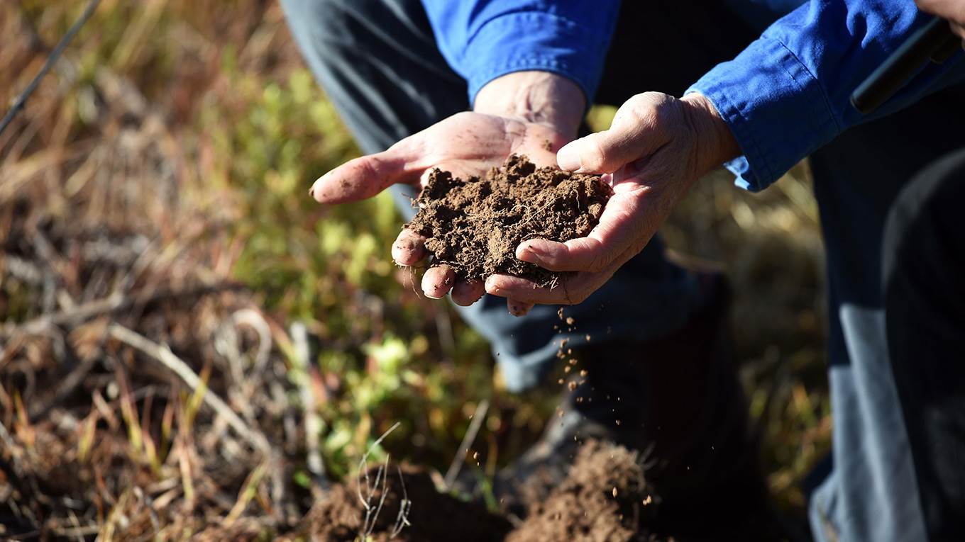 Checking soil quality