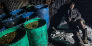 A worker in a brewery storage room in the Kibera slums of Nairobi, Kenya, during heavy rainfall and flooding on March 14, 2026, with rainwater collected in containers as severe flash floods affect the area ing deadly storms that have killed at least 25 people and prompted military-led search and rescue operations.