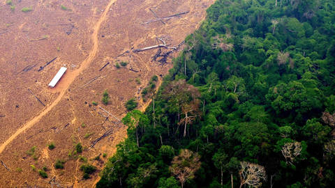 zadek24_DOUGLAS MAGNOAFP via Getty Images_amazondeforestation