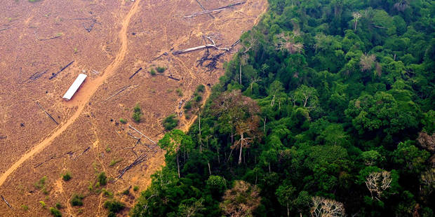 zadek24_DOUGLAS MAGNOAFP via Getty Images_amazondeforestation