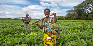African women farming.