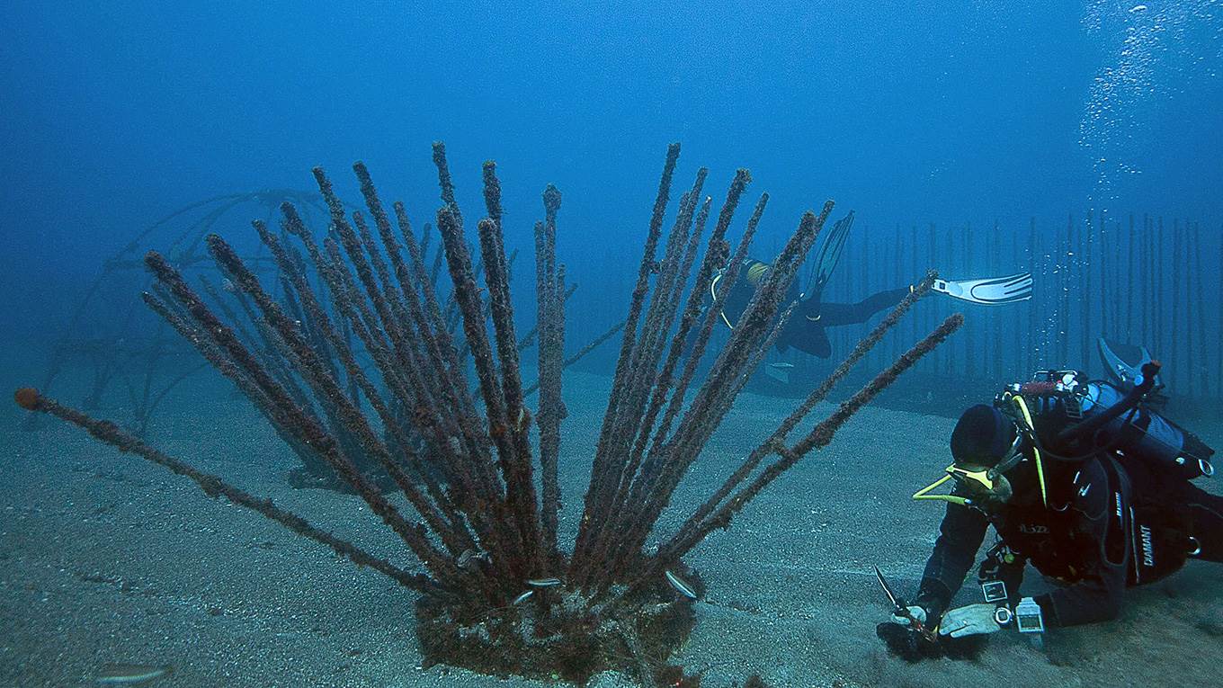 Scientists observe biodiversity