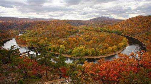 Fall foliage