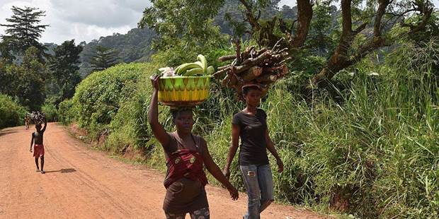raikes1_Sia Kambou Stringer_Farmers in Ivory Coast