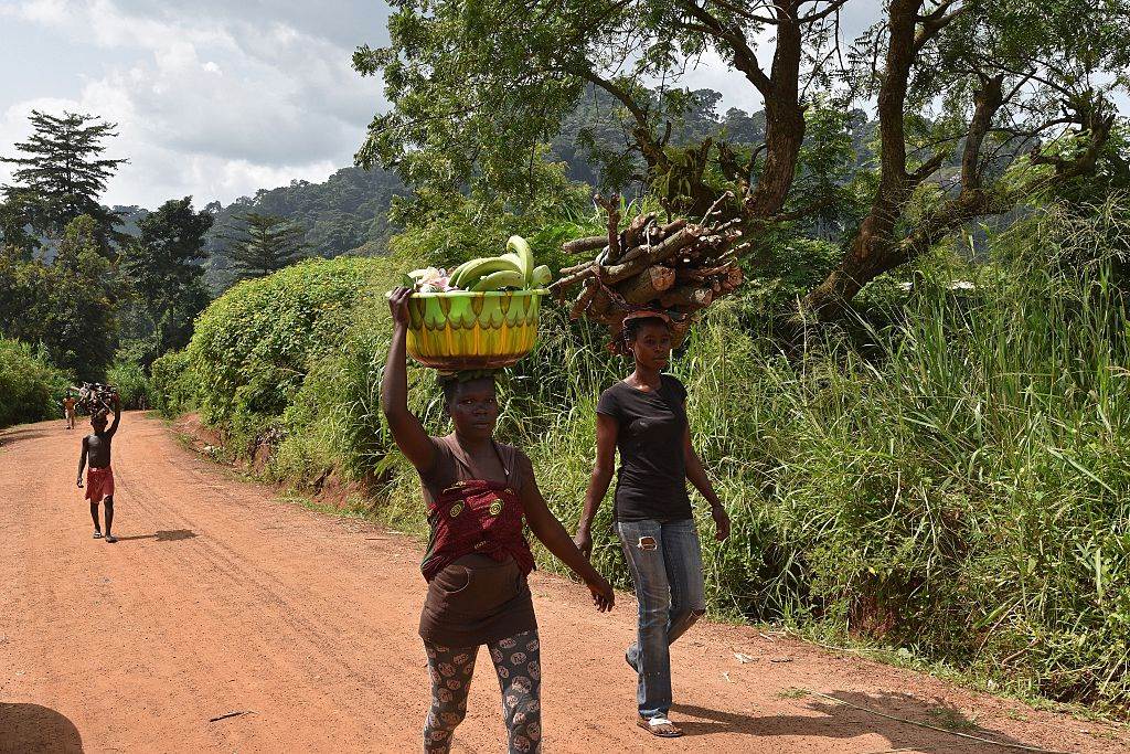 raikes1_Sia Kambou Stringer_Farmers in Ivory Coast