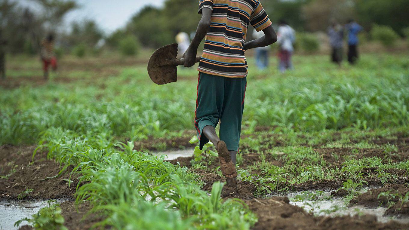 ghosh27_TONY KARUMBAAFPGettyImages_africa farm