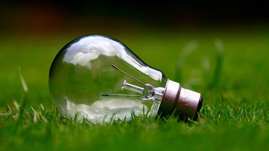 Lightbulb on grassy field