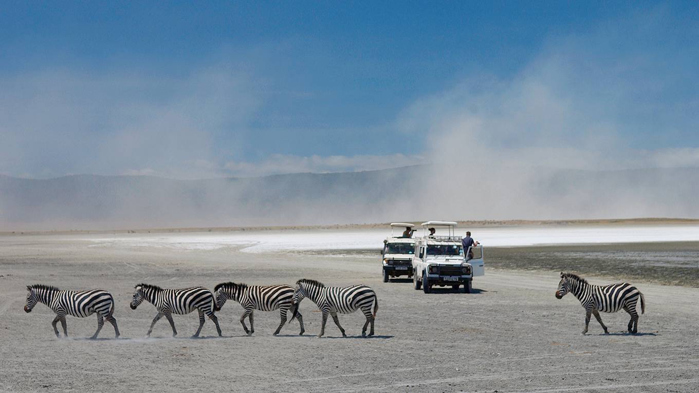 mbrown1_Tim GrahamGetty Images_africasafari