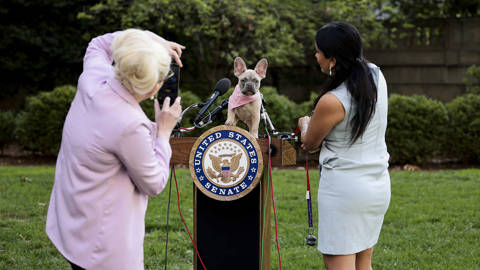 singer245_AnnaMoneymakerGettyImages_FDAModernizationAct