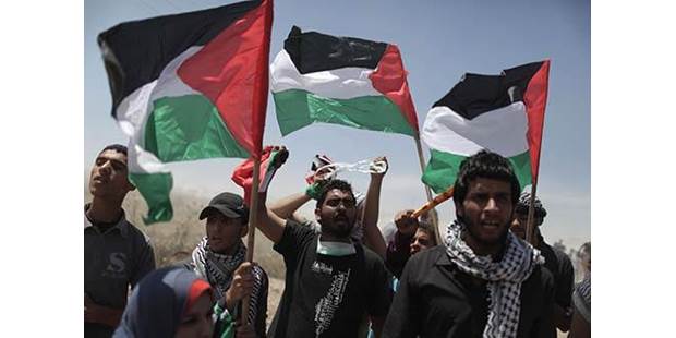 Palestinians in Support of Statehood
