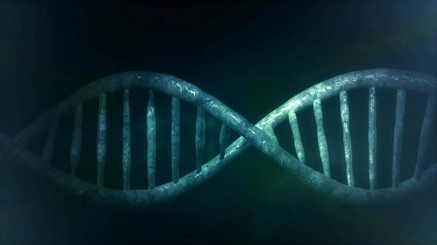 DNA double-helix.