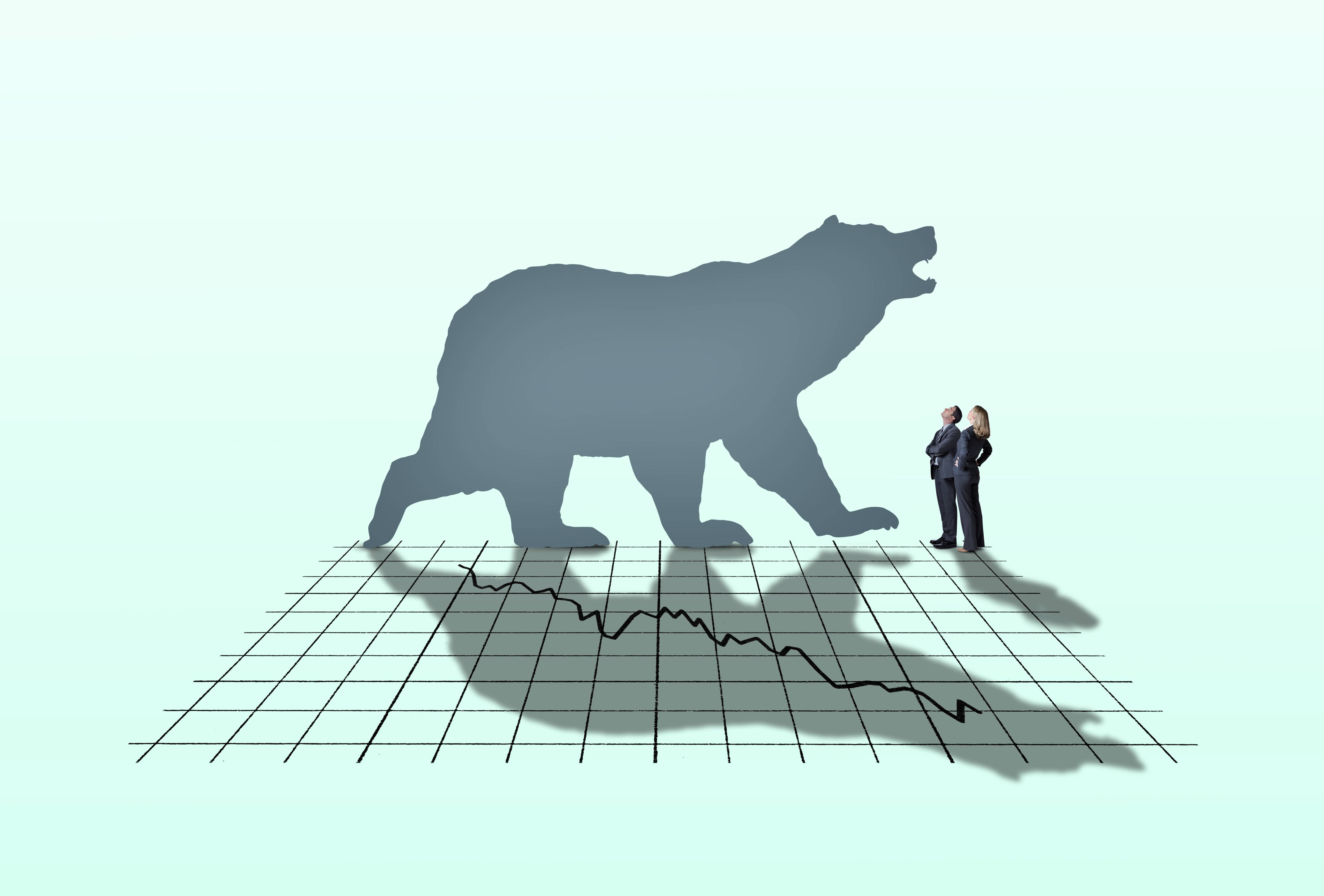 putin bear