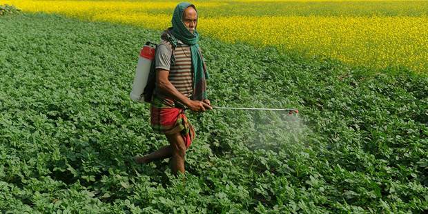 pesticide farmer crops