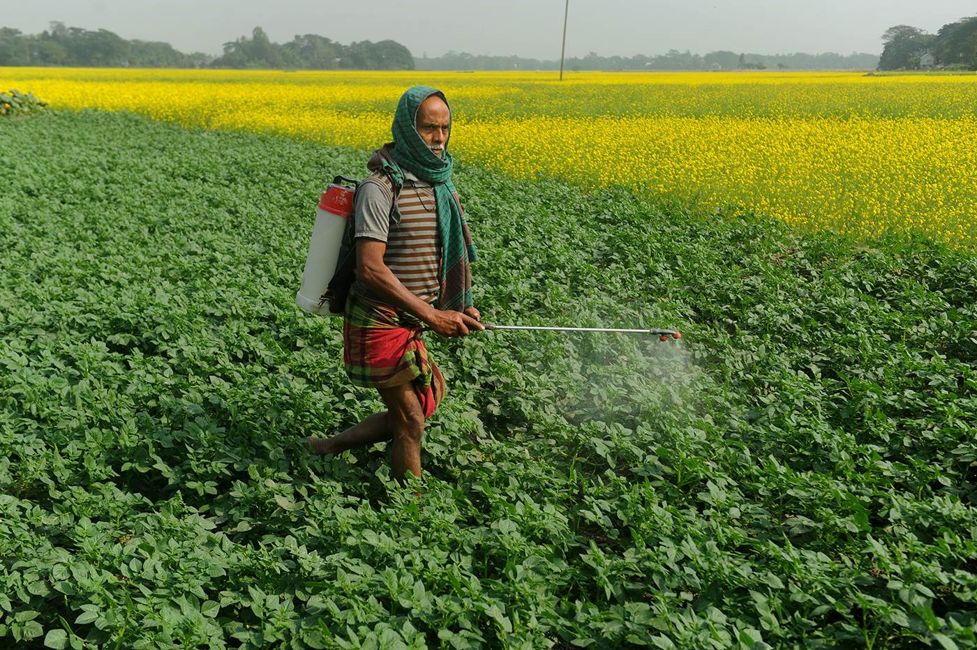pesticide farmer crops