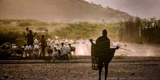 wario1_LUIS TATOAFP via Getty Images_pastoral north kenya community climate change