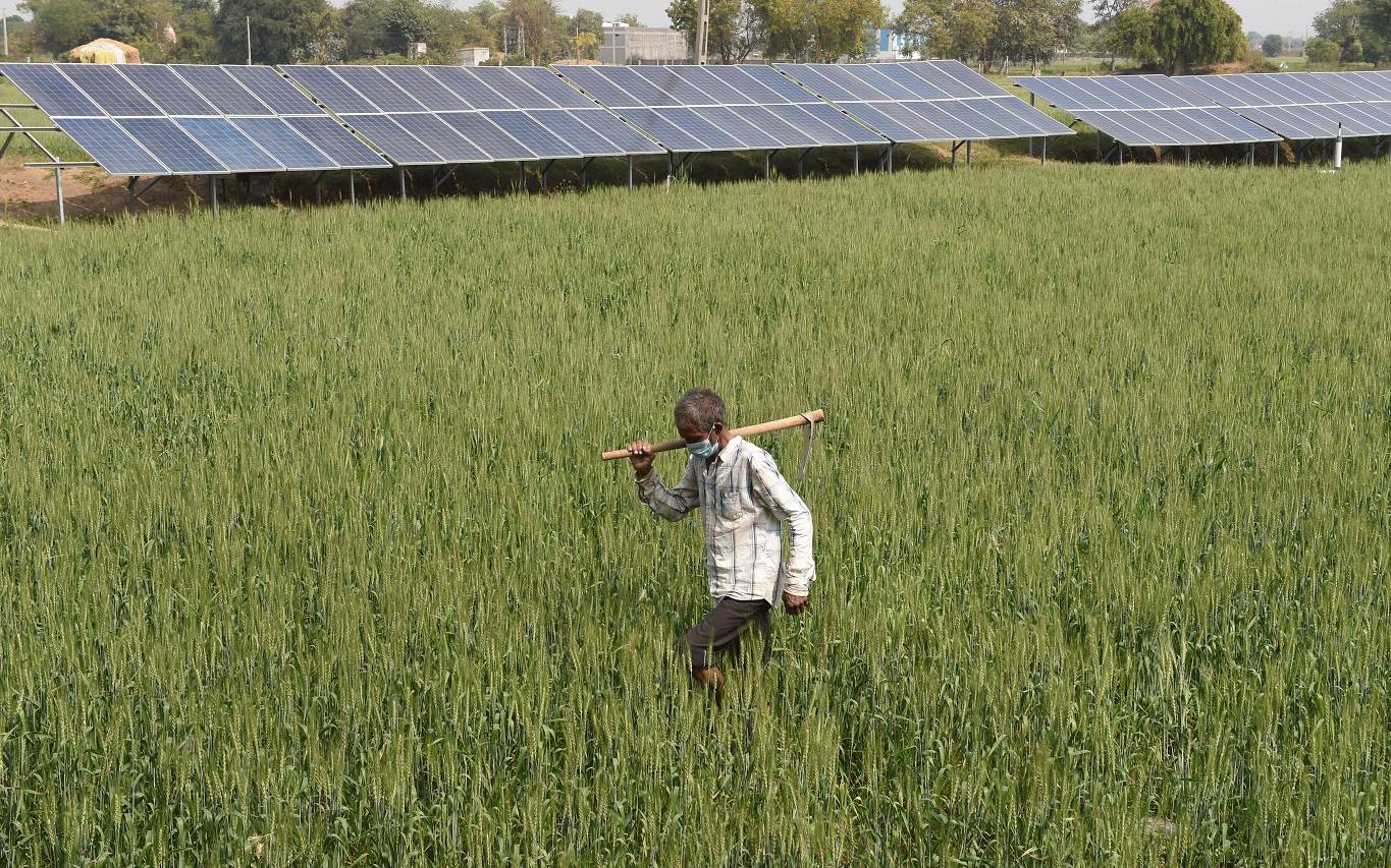 skierka2_SAM PANTHAKYAFP via Getty Images_solar farm india