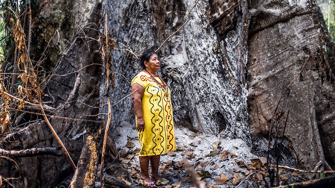 balvanera1_ERNESTO BENAVIDESAFP via Getty Images_amazonrainforestindigenousfire