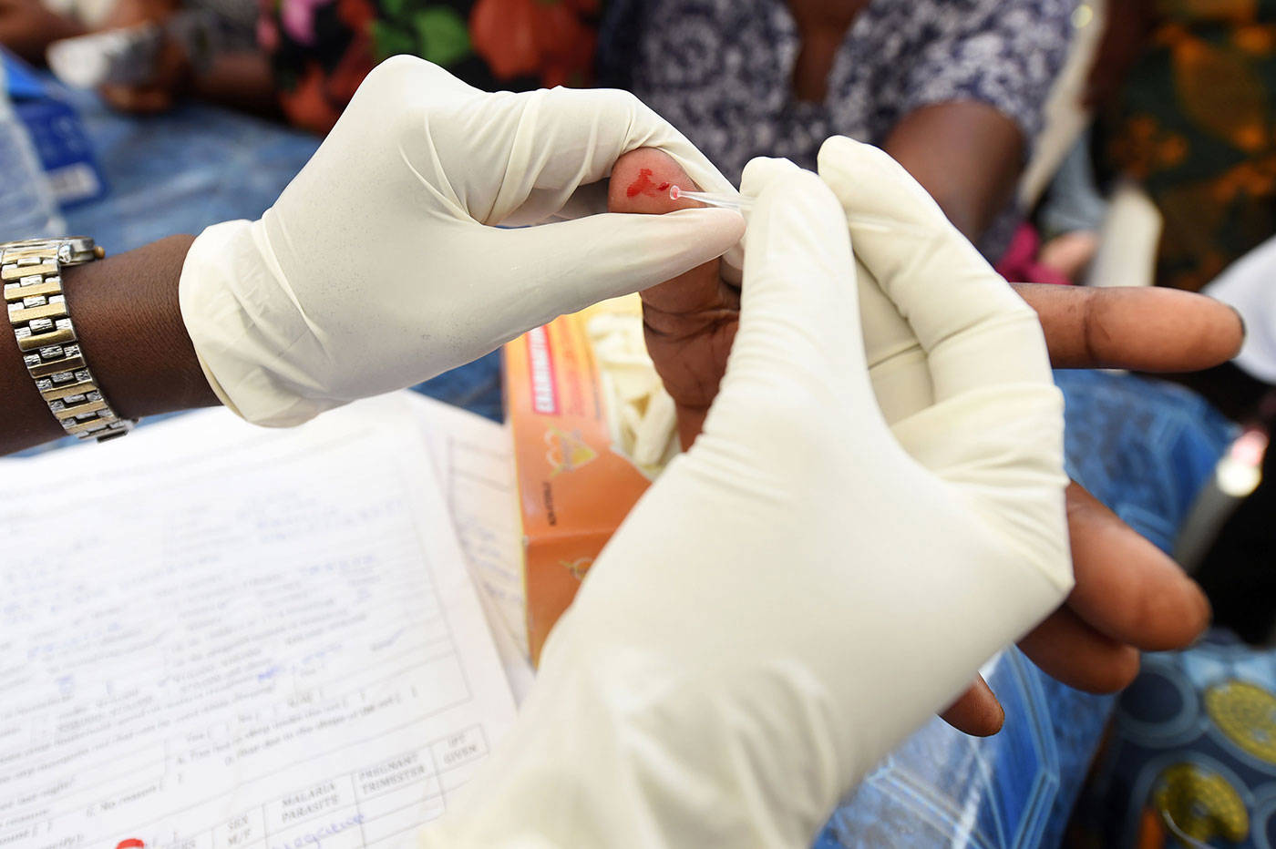 malaria testing