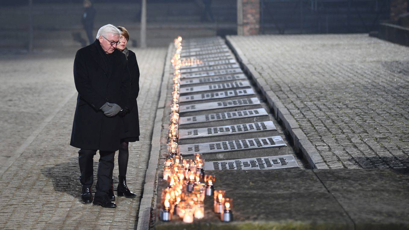 moisi171_Britta Pedersenpicture alliance via Getty Images_steinmeier holocaust memorial