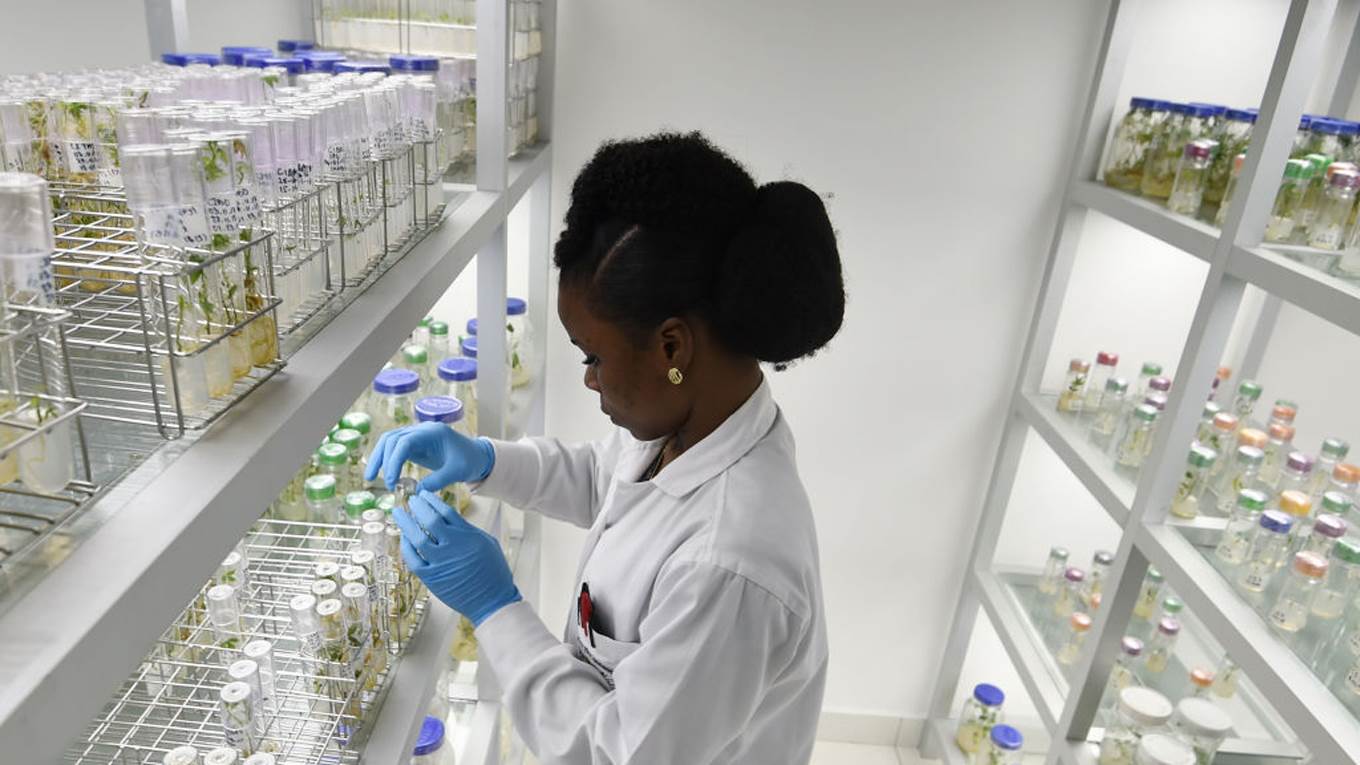 food research lab