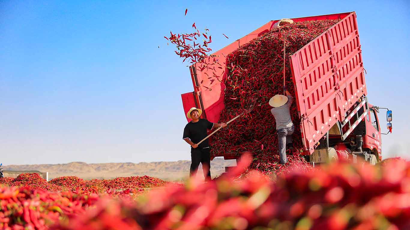 okonjoiweala18_Hou ChonghuiVCG via Getty Images_food harvest