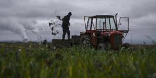 scherger1ARMEND NIMANIAFP via Getty Images_farming