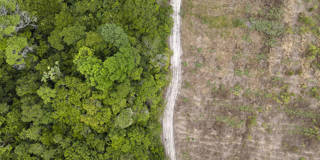 Image for The Right Incentives for Climate Action