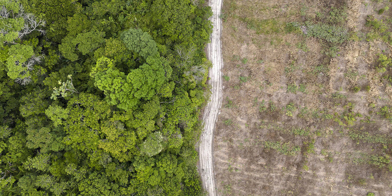 The Right Incentives for Climate Action