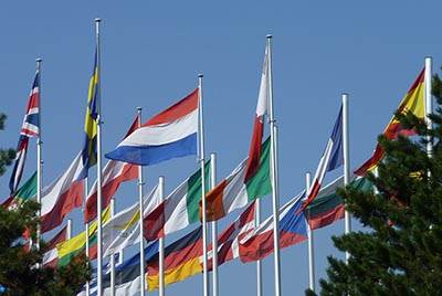 EU flags