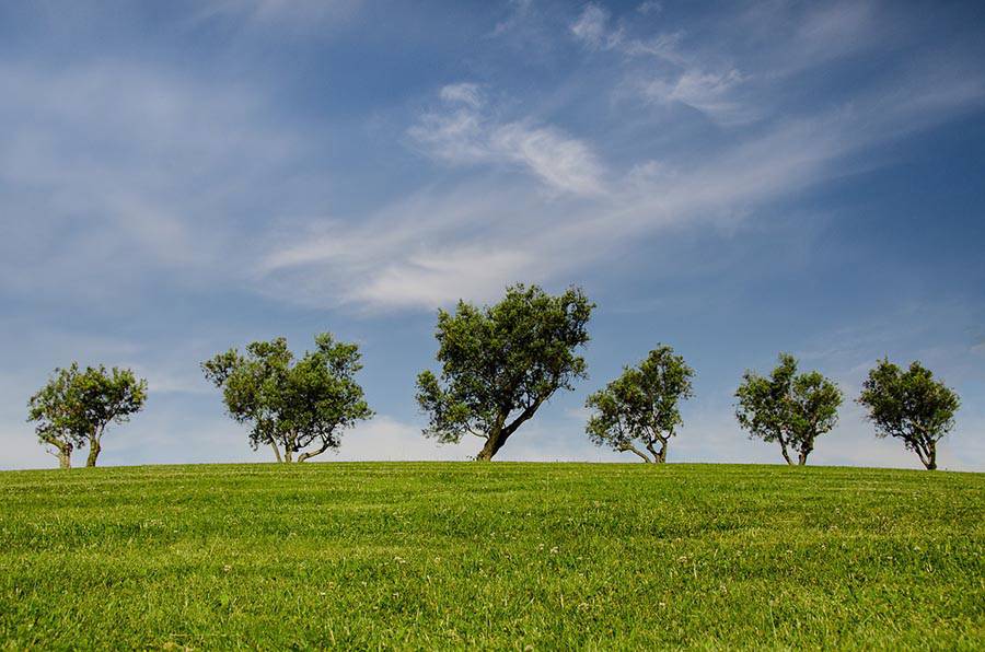 Green countryside and trees.