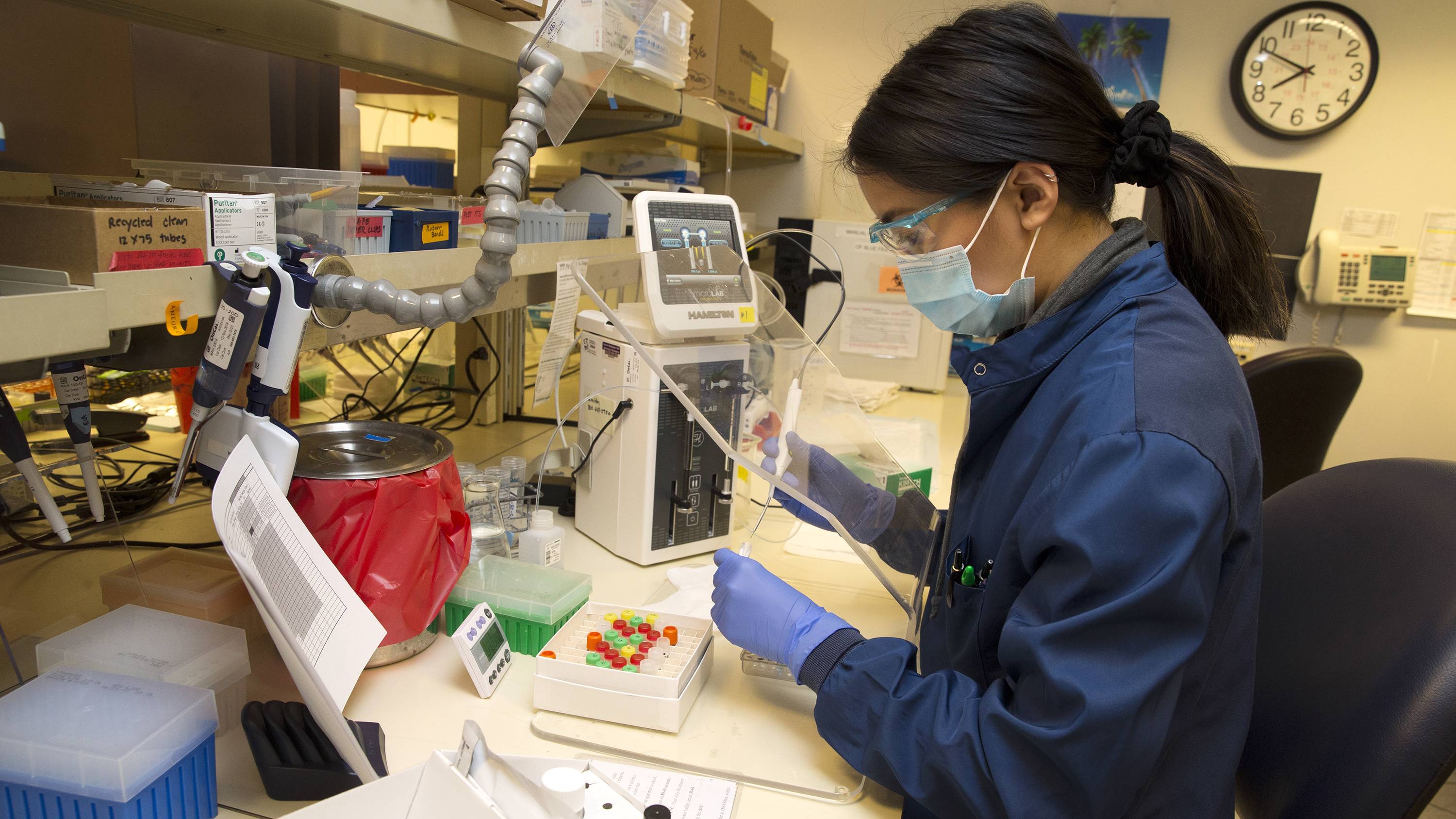 goldman3_Karen DuceyGetty Images_antibodycoronaviruslab