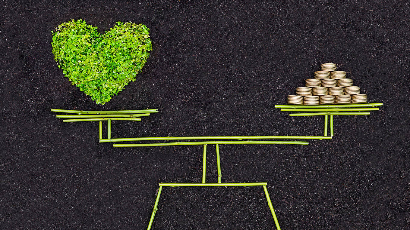 rockstrom8_GettyImages_greenscaleheartmoney