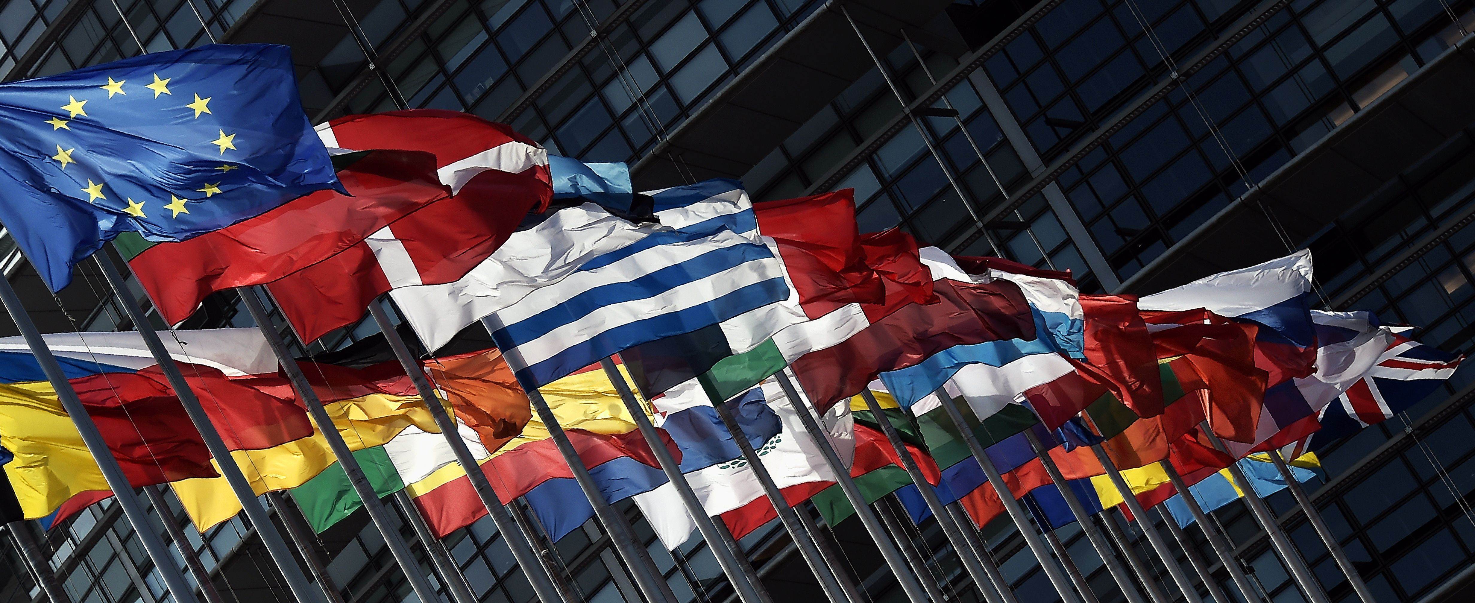 fitoussi12_Frederick Florin_AFP_Getty Images_EU flags