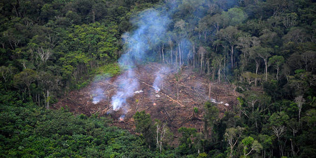 mestrada1_RAUL ARBOLEDAAFP via Getty Images_deforestation