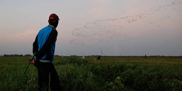 dey1_Luke DrayGetty Images_smallholder farmer