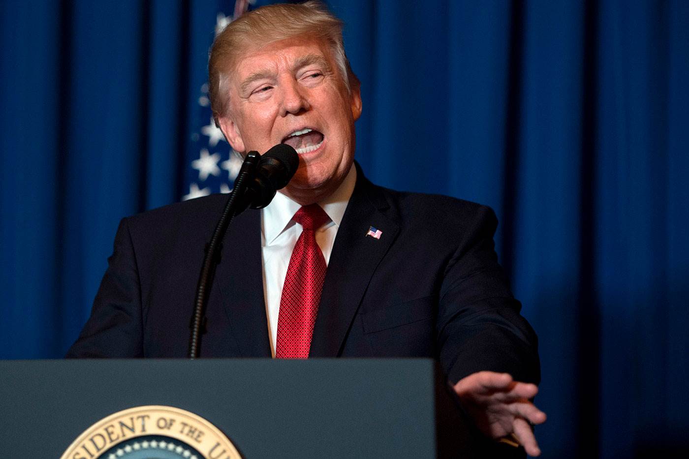 Trump announces syria strike