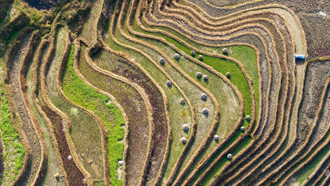 Image for How to Feed Ten Billion People