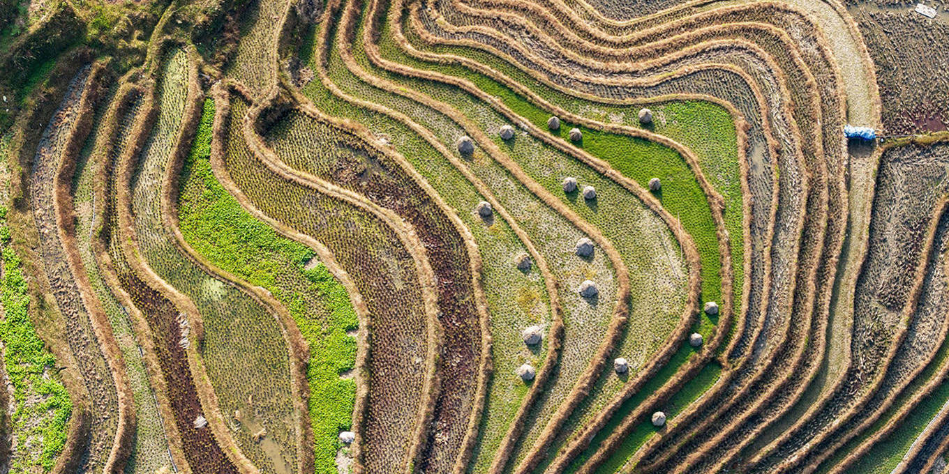 How to Feed Ten Billion People